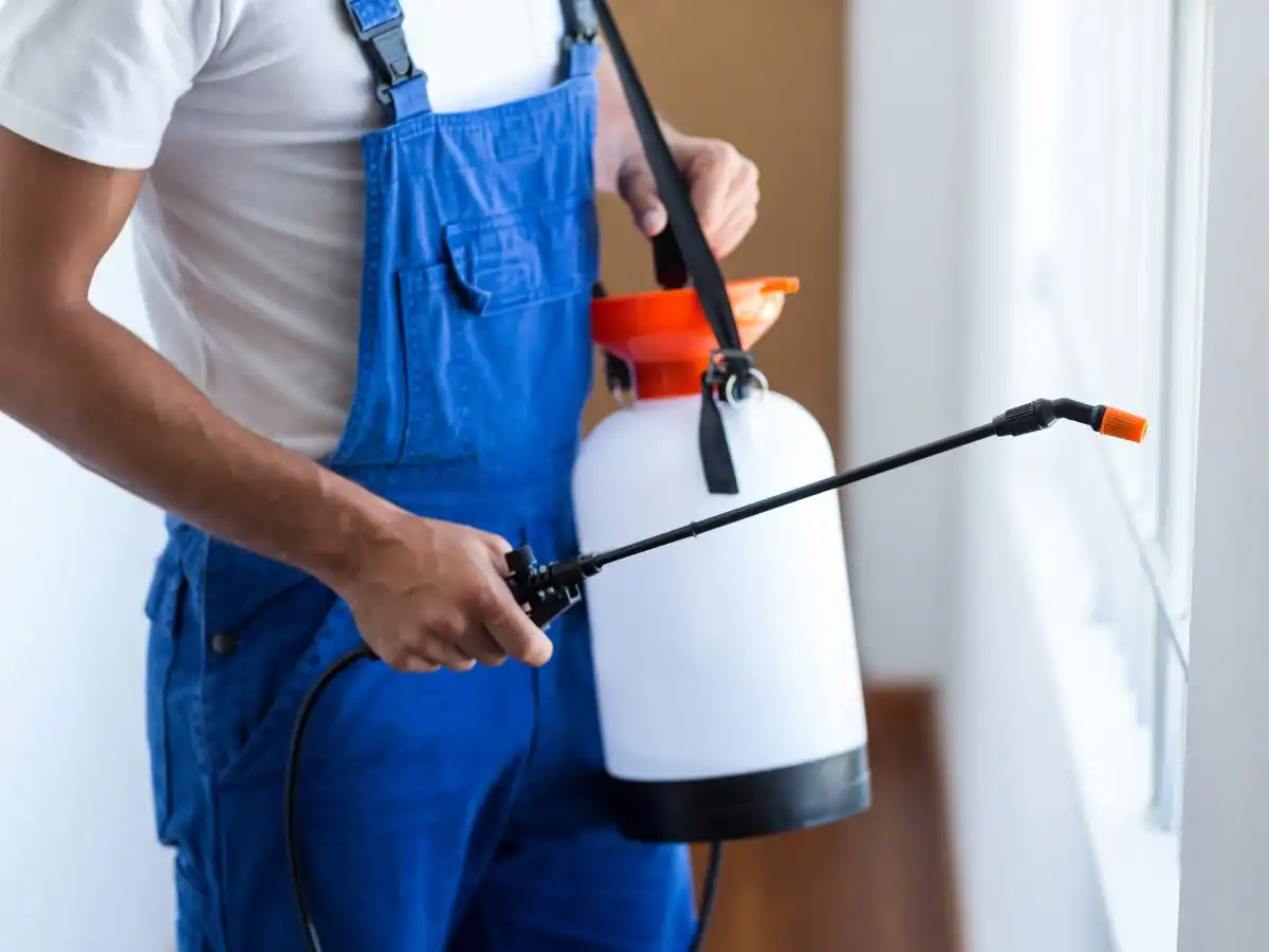Blog Pest Control Insurance: What to Know Before You Choose Coverage